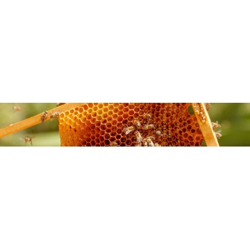 Βιολογικά Προϊόντα Μέλισσας